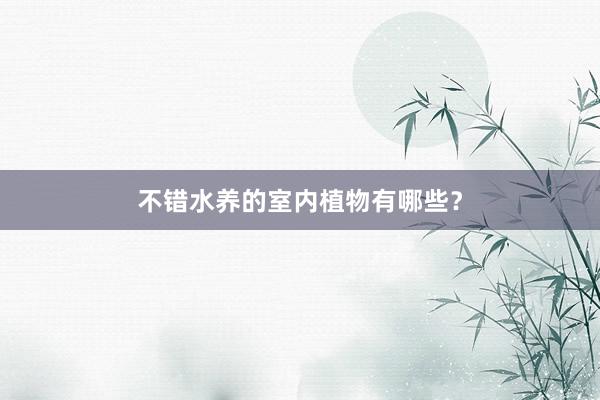 不错水养的室内植物有哪些?